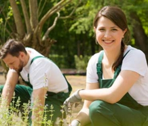 La manutenzione del giardino tra marzo e aprile